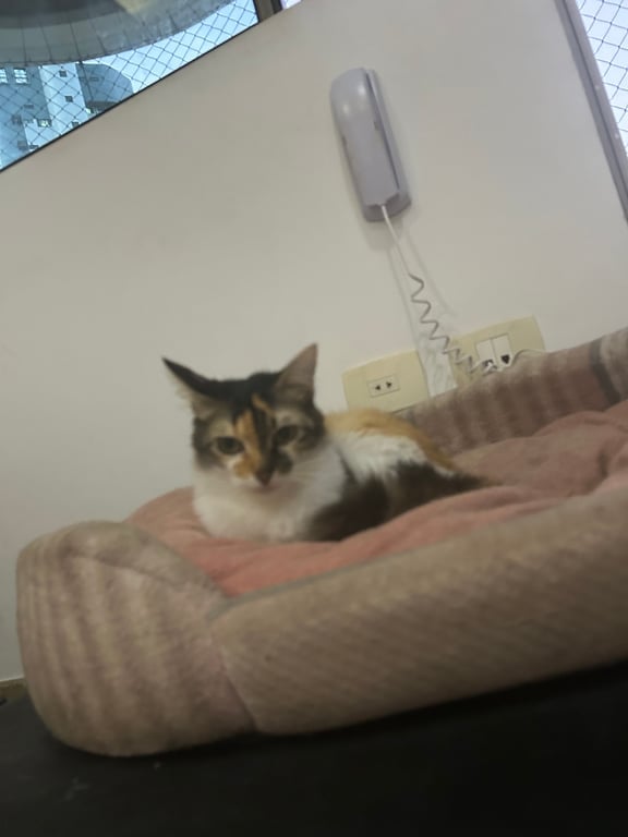 A melhor massagem da sua vida ou seu dinheiro de volta! Massagem em