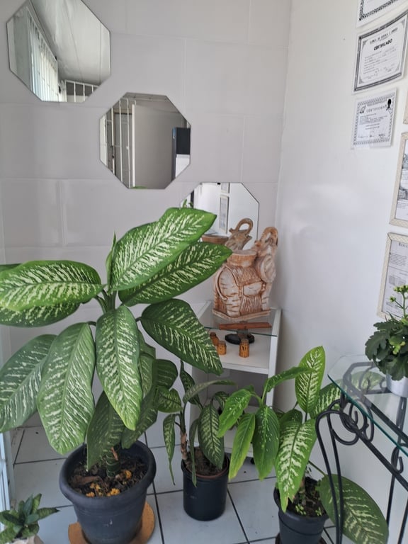 Ana – Massoterapeuta Técnicas Relaxantes