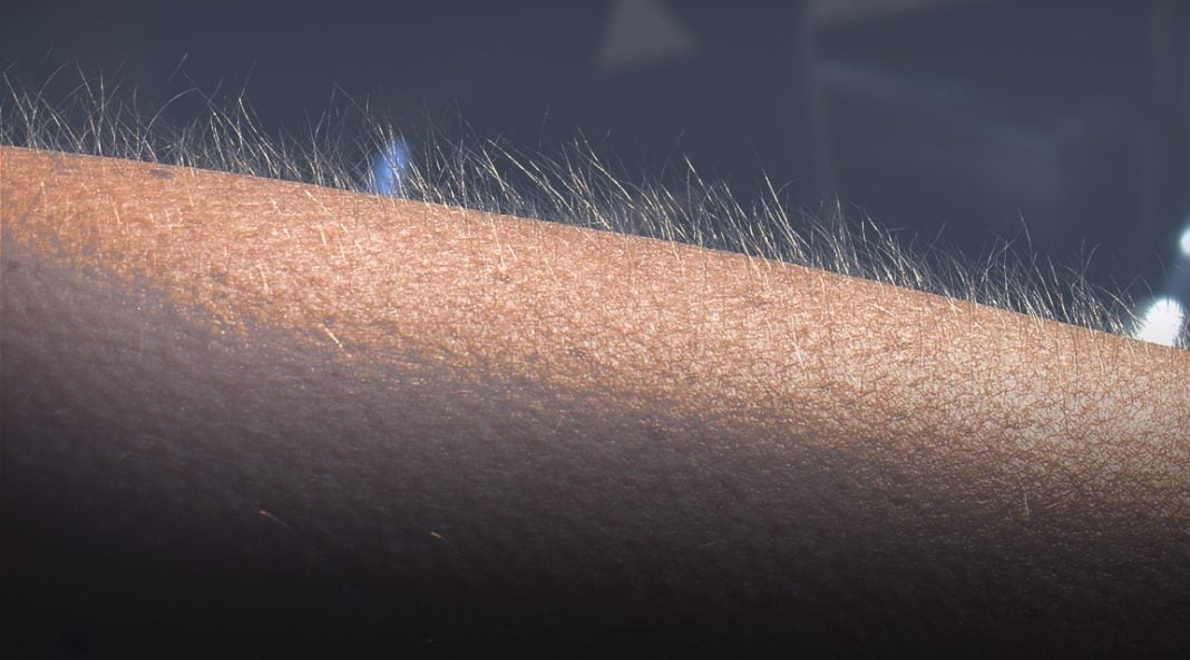 Massagens Sensuais: Explore o Prazer de cada Toque Massagem tântrica em