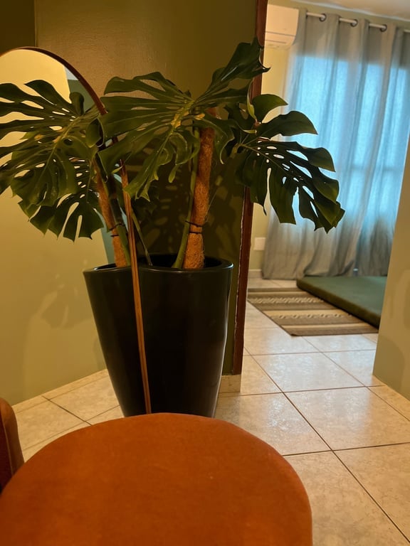Arbor Spa Massagem Tântrica